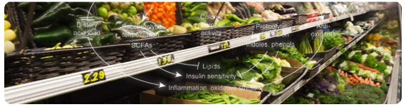 La mayoría de las frutas y verduras son alimentos que producen basicidad dado que los productos metabolizados son precursores de aniones orgánicos tales como citrato, succinato y bases conjugadas de ácidos carboxílicos