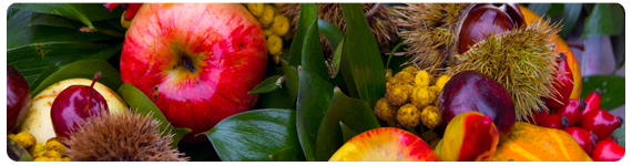 Los ciclos repetidos de pérdida y reganancia de peso han sido denominados ciclado de peso