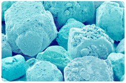 El canal de sodio epitelial (ENaC, siglas en inglés), también conocido como canal de sodio no neuronal, está involucrado en el reconocimiento del sodio en las células gustativas